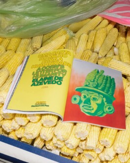 Bruna ⋆ Creative | Concept | Writer