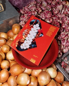 Bruna ⋆ Creative | Concept | Writer